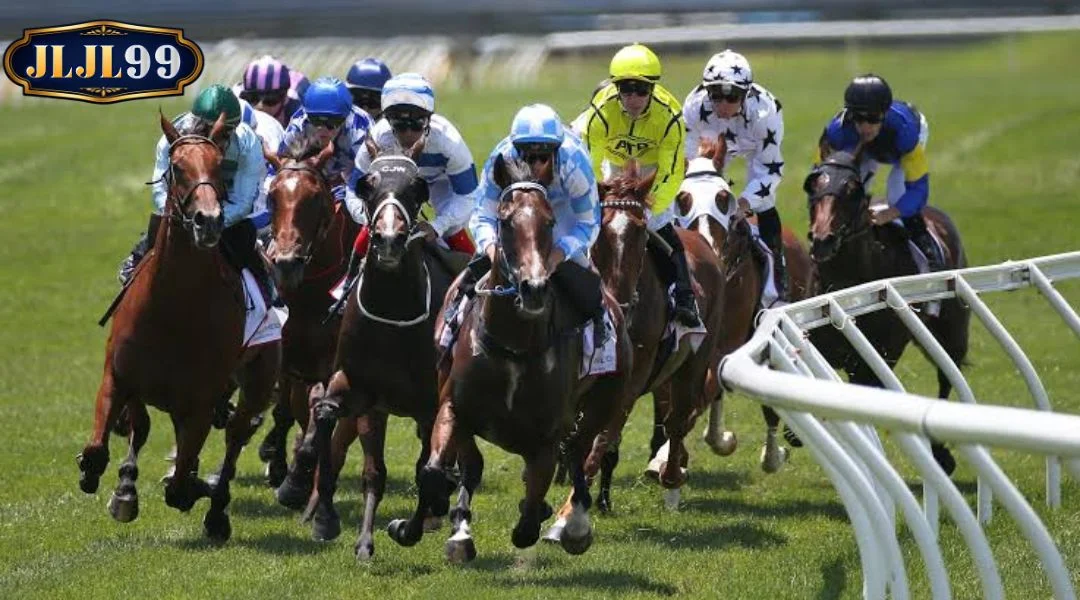 Horse racing betting JLJL99 - Strategy and Tips to Win Big