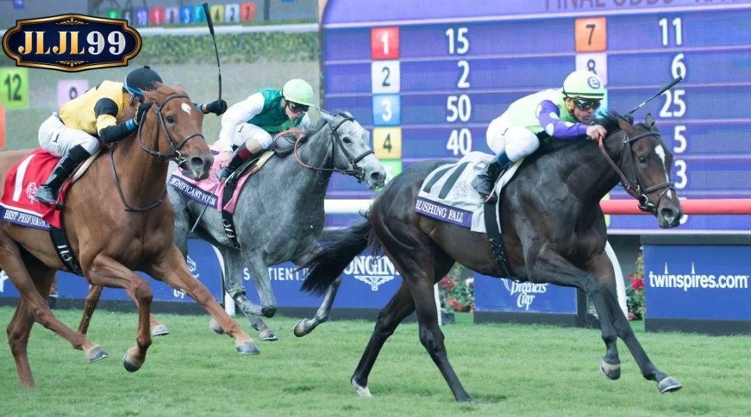 The core reasons why Horse racing betting at JLJL99 attracts players
